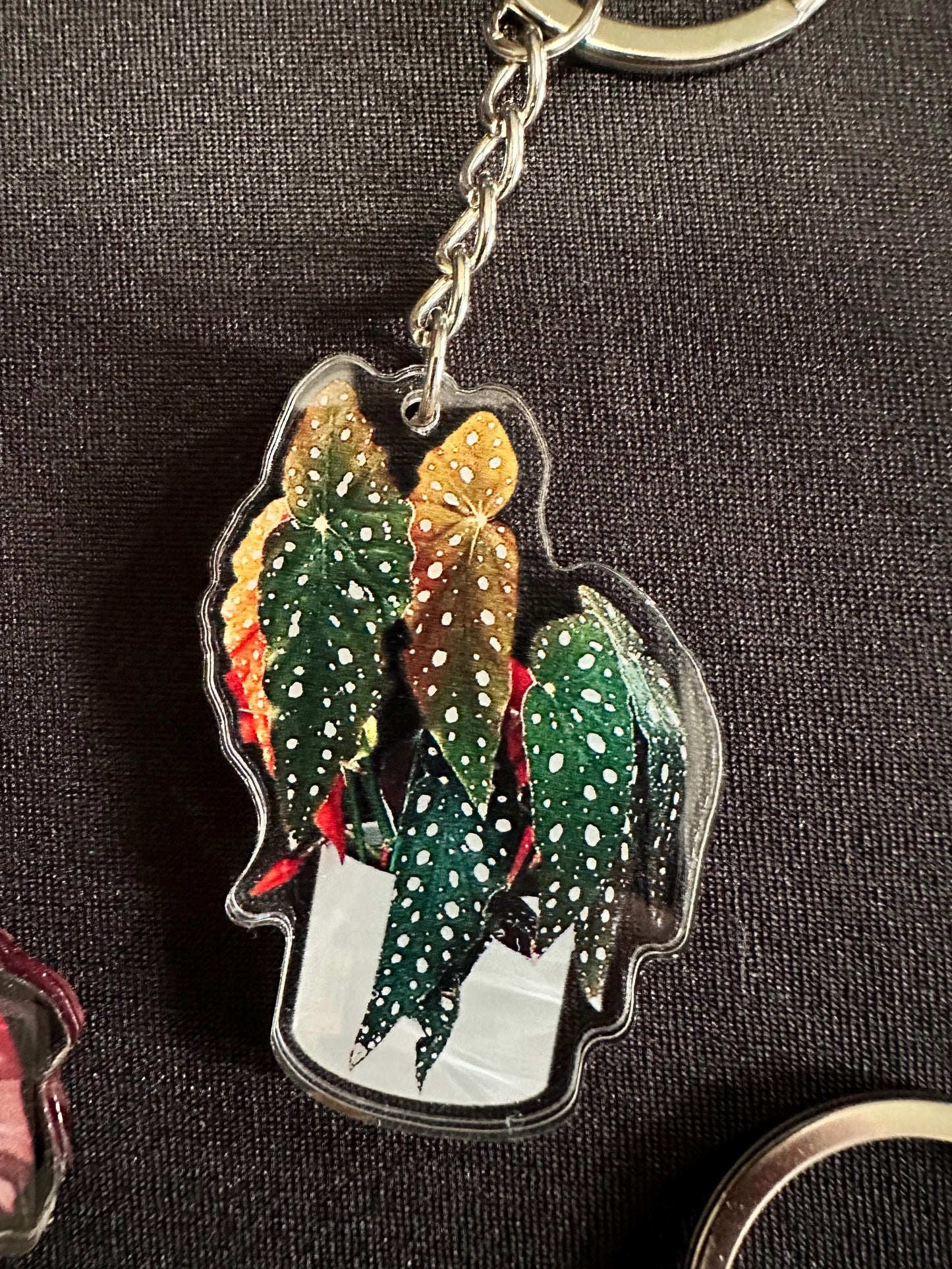 Houseplant Leaf Acrylic Key Chain. Variety of Plant Types!
