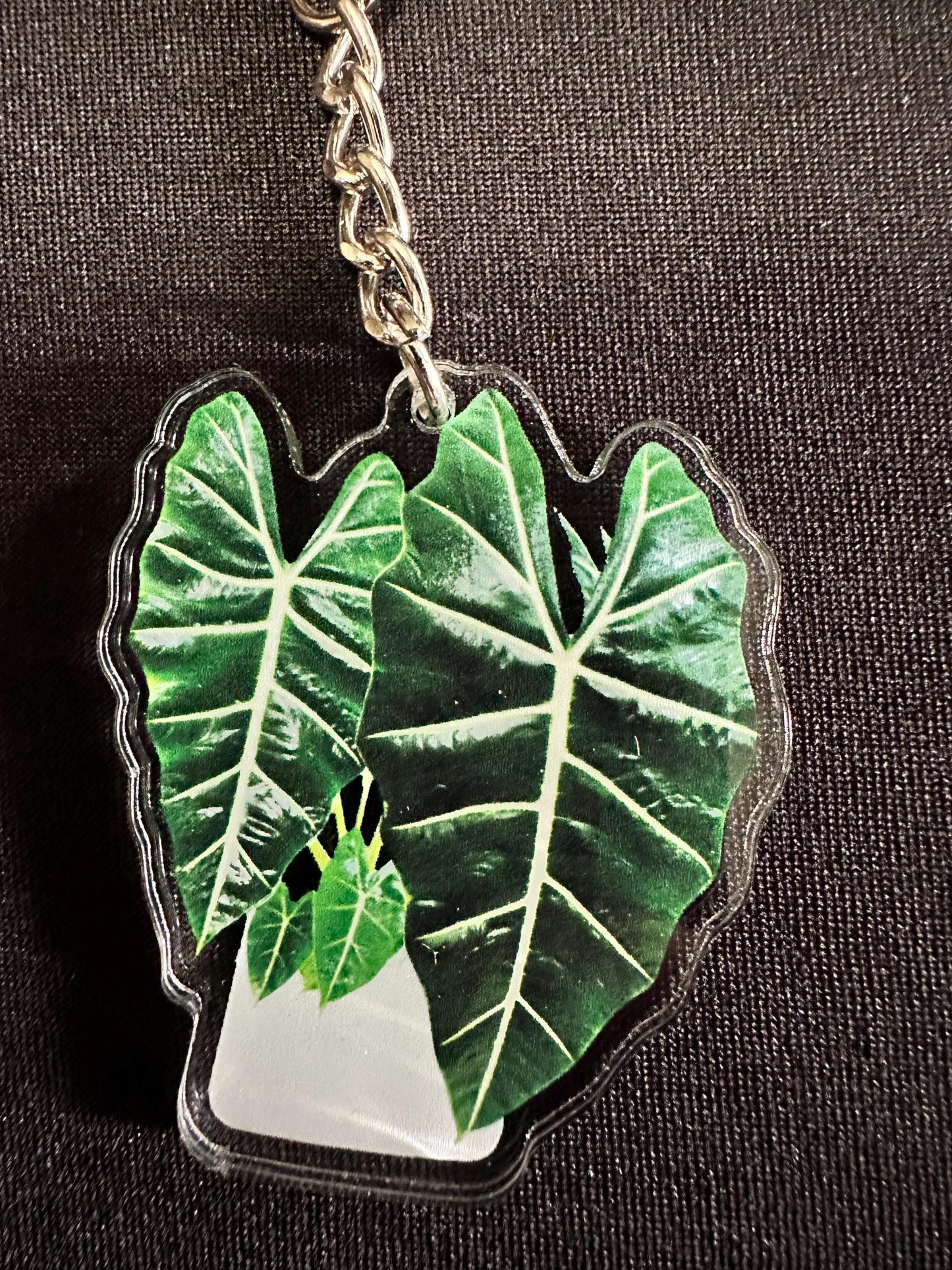 Houseplant Leaf Acrylic Key Chain. Variety of Plant Types!