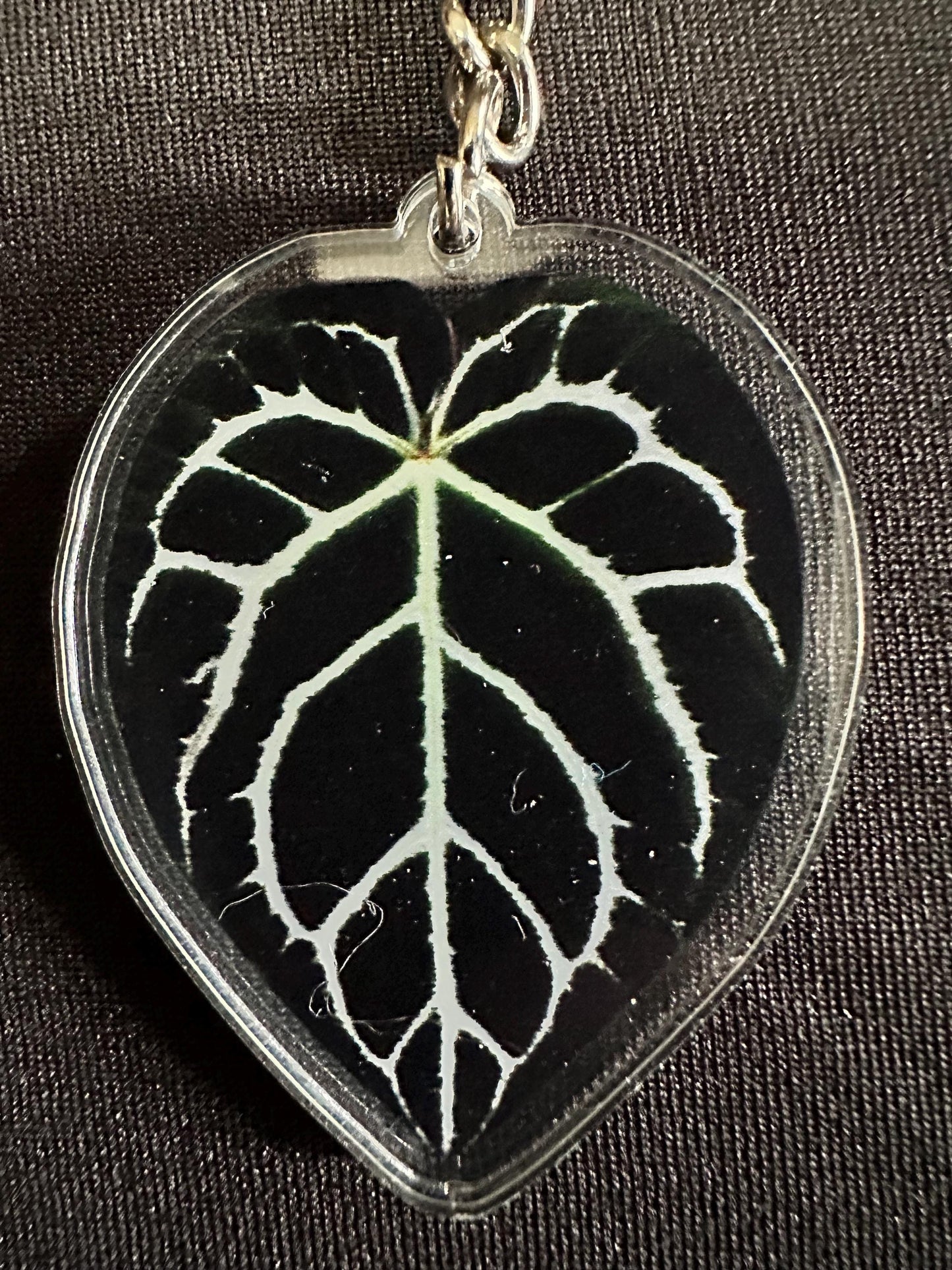 Houseplant Leaf Acrylic Key Chain. Variety of Plant Types!