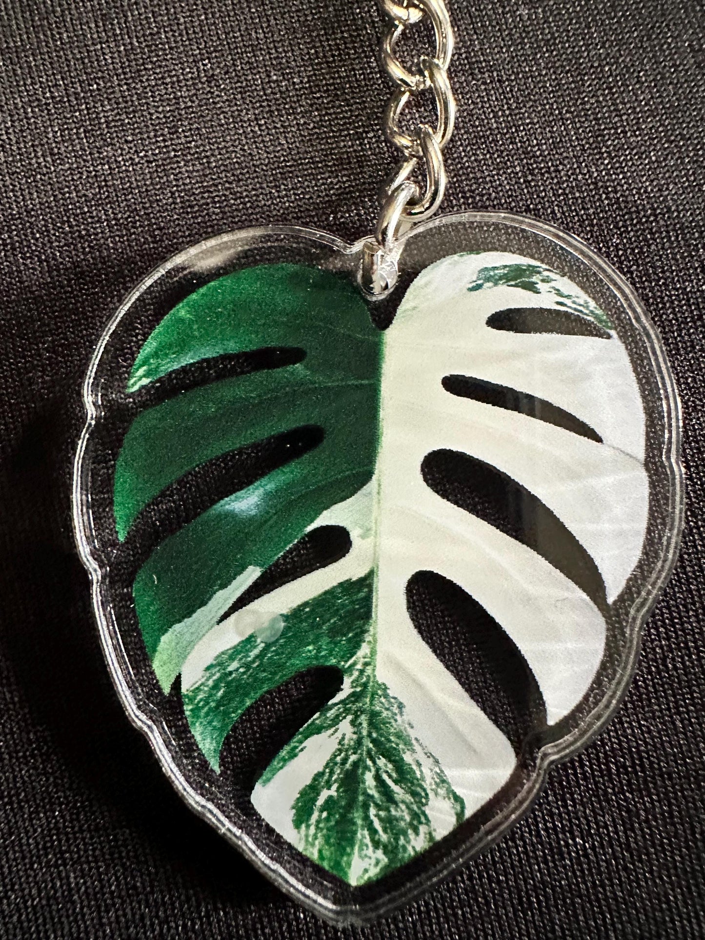 Monstera Leaf Acrylic Key Chain. Albo, Lemon Lime, Mint Monstera