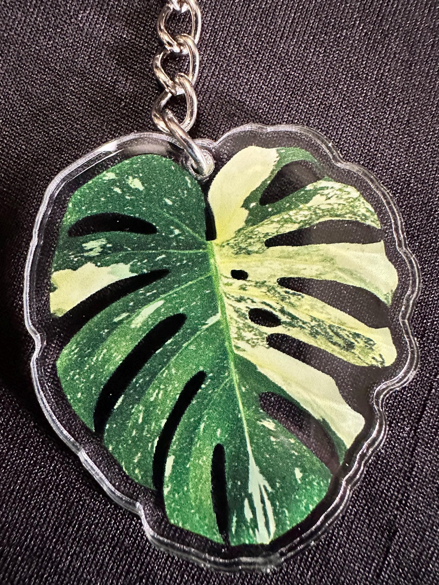 Monstera Leaf Acrylic Key Chain. Albo, Lemon Lime, Mint Monstera