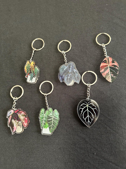 Houseplant Leaf Acrylic Key Chain. Variety of Plant Types!